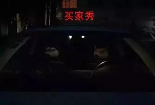 你淘宝上买过什么奇葩的东西,淘宝上的那些奇葩商品