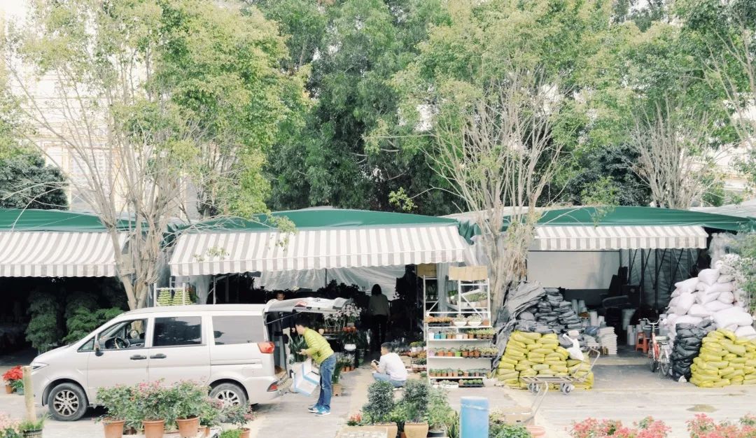 附近香蜜湖,香蜜湖入口