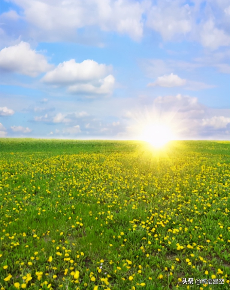 想成为魅力成熟的女性,怎么样成为一个成熟的人