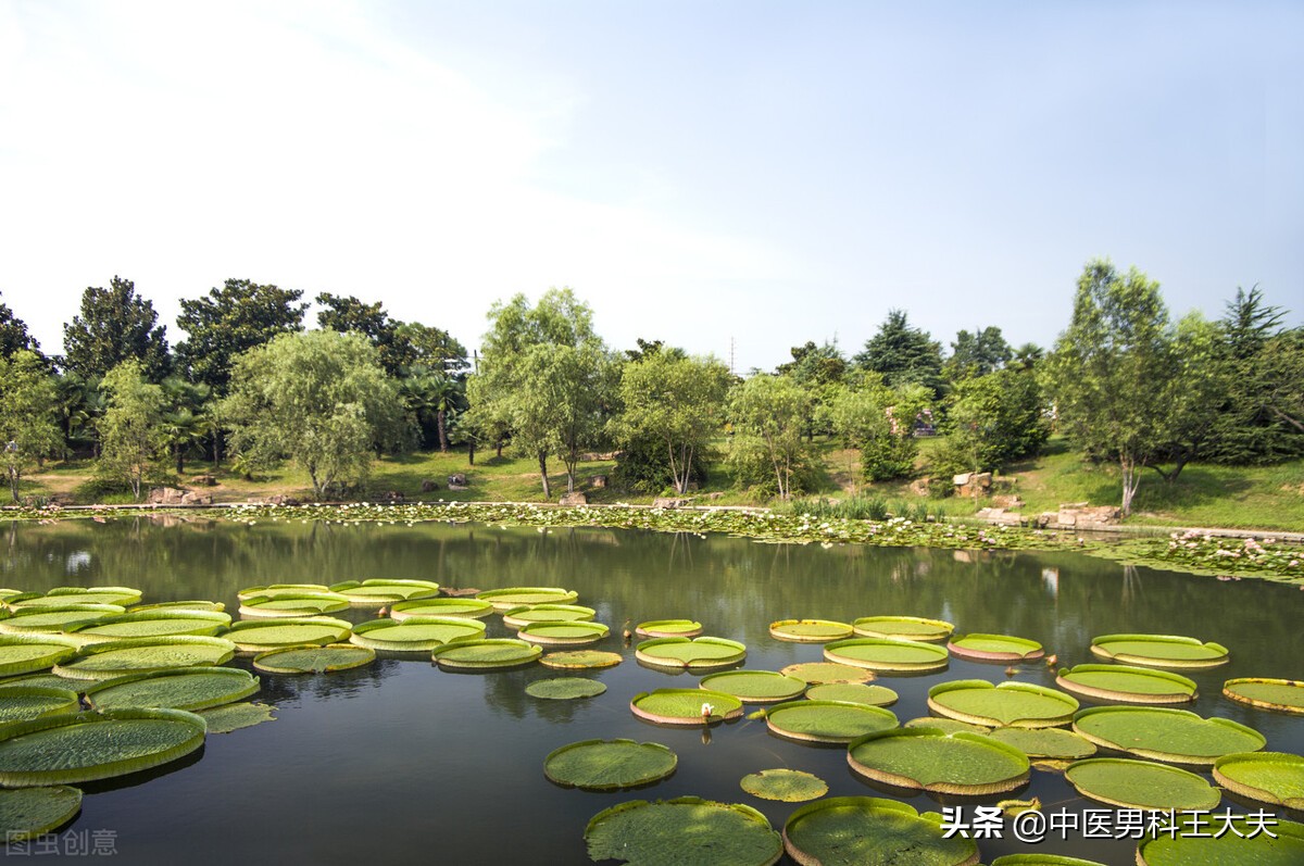 久思伤脾吃什么中药,久思伤脾的最佳调理方法
