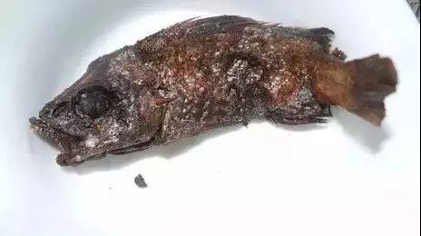 请广大“师奶”引以为戒,打死都不要让你老公入厨房