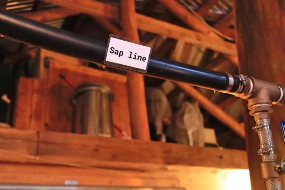 去加拿大旅行一定要买这个回国