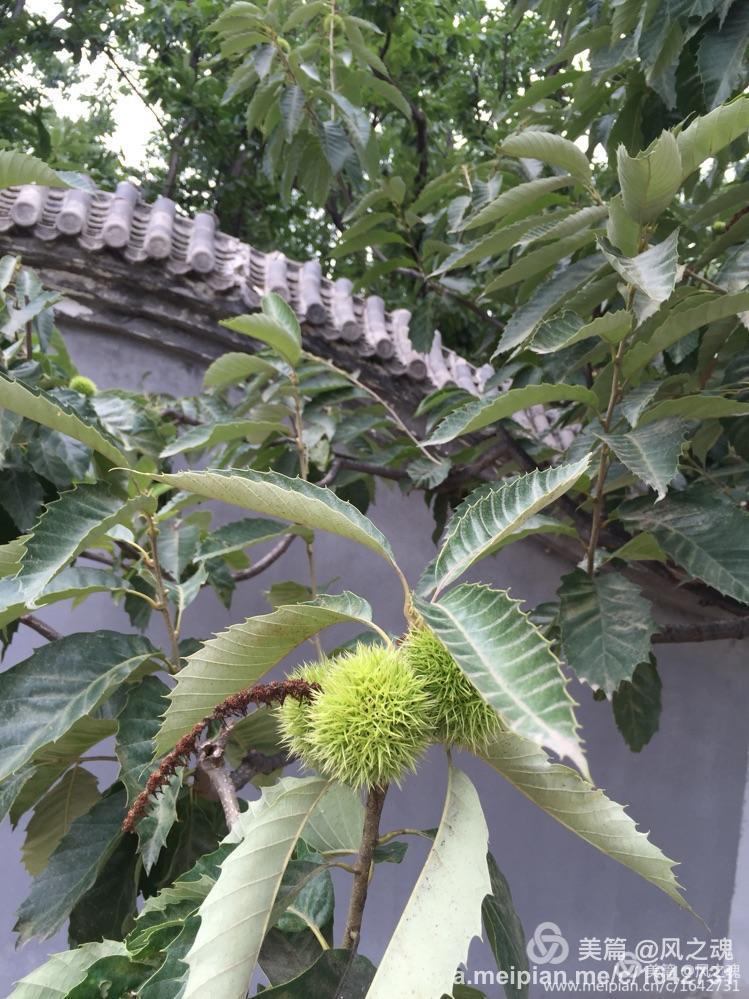 遵化汤泉御泉宫,遵化福泉宫汤泉