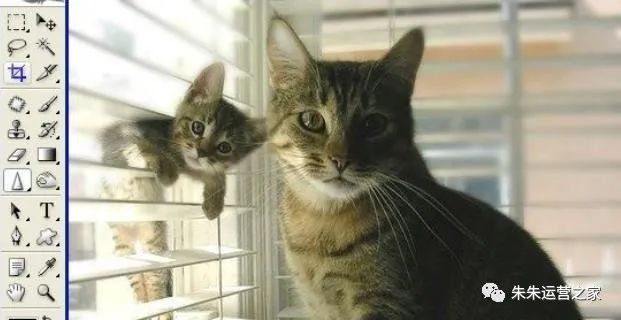 朱朱运营之家:学习PS工具箱中的模糊/锐化/涂抹工具