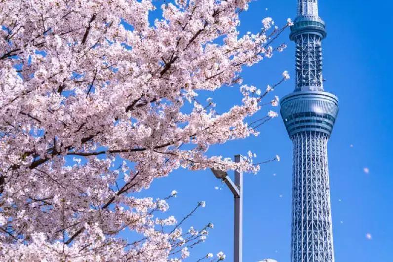 平成30年：被窝做梦的年轻人，繁荣的娱乐业，和低欲望消费