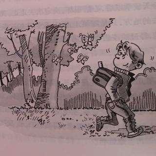 亲爱的汉修先生雷伊的年龄,亲爱的汉修先生雷伊是什么样的人