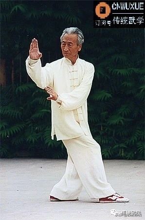 八卦掌转掌诀窍,八卦掌定势转掌