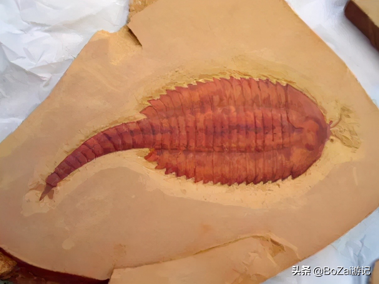 到云南玉溪旅游必去的10大景点，你去过几个？最爱哪个景点？