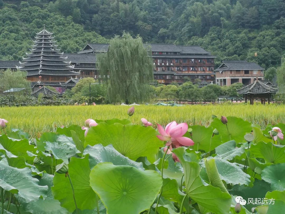 侗寨自由行游记,自驾侗族八寨攻略