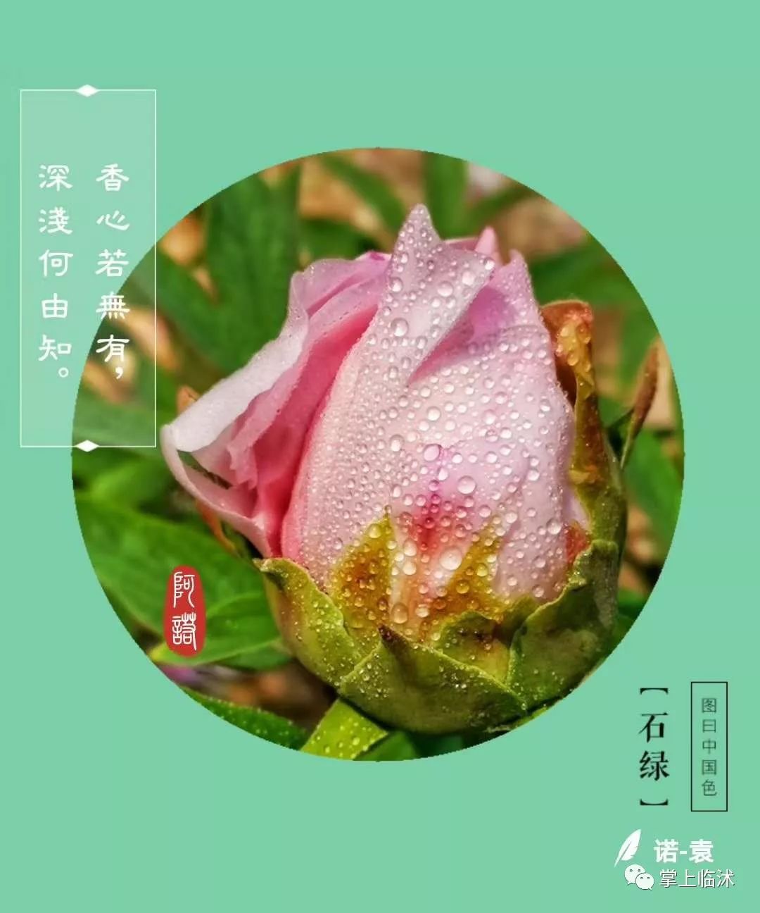 航拍最美临沭,临沭最美风景