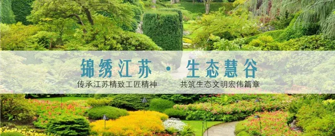 南京园博园项目由哪个公司承建,中建八局三公司南京最新中标项目