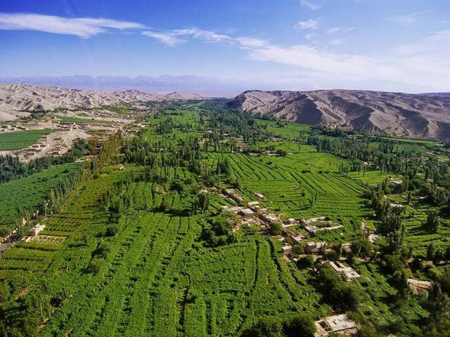 吐鲁番有哪些葡萄种植,新疆吐鲁番葡萄沟葡萄有哪些种类