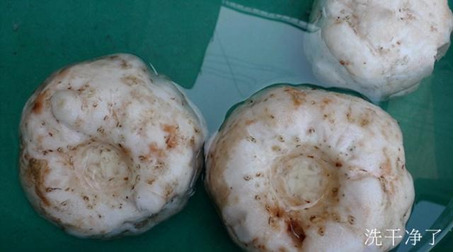 农村常见野生有毒植物,农村有毒的野果和植物