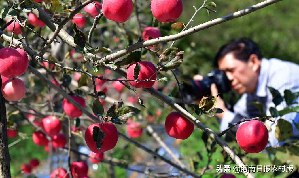 挣脱大山,挣脱大山的束缚