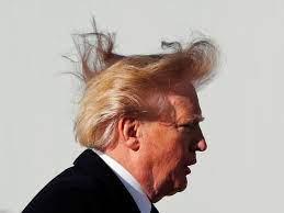 假发生意,假发生意从何入手