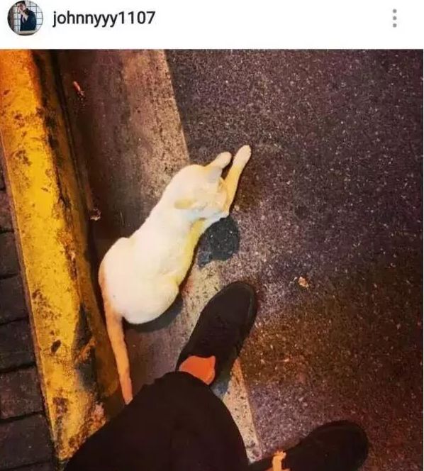 被绿又被打？还为爱自杀？至于吗