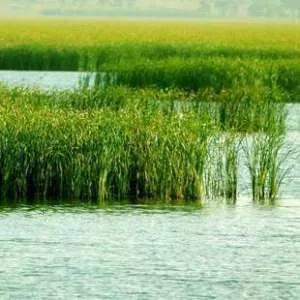 古老潴龙河，成为记忆中久远的童话