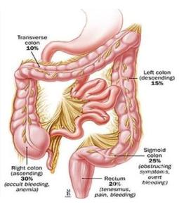 最新的中医肛肠科常见病诊疗指南,肛肠科中医适宜技术有哪些