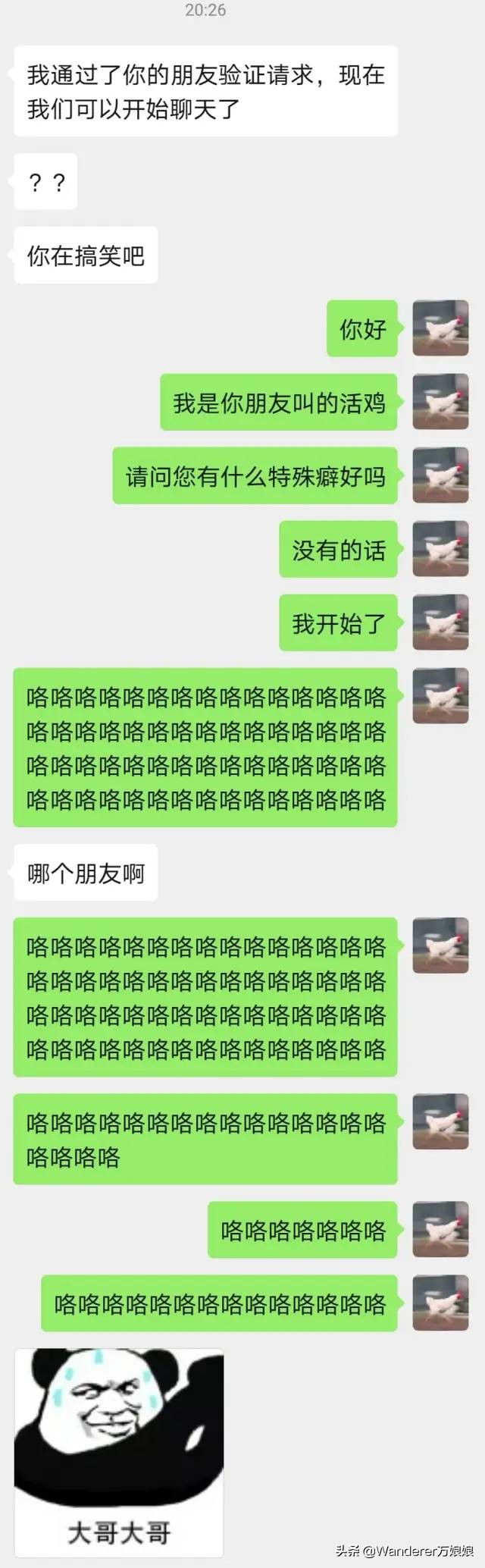 哈哈哈哈哈哈我笑到我妈把鞋塞我嘴里