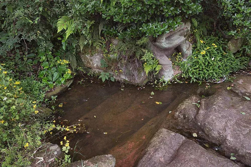 渝北枇杷正黄，冒冒失失穿越铁壁、胜保、斗碗三寨