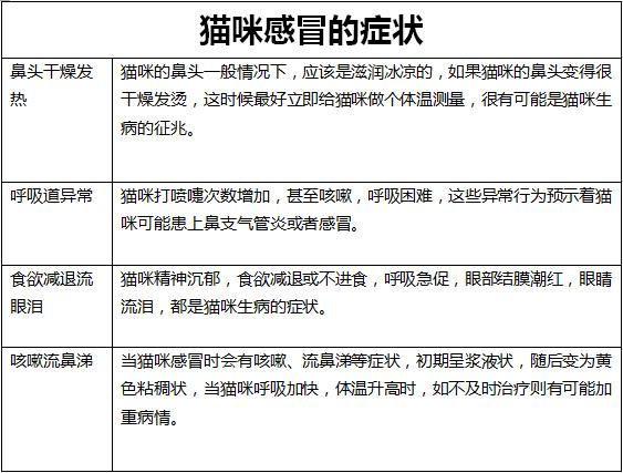 猫咪冬天会怕冷吗,有毛不耐寒的动物