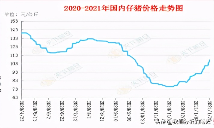 天邦股份对明年猪价的预判,天邦股份还会跌吗