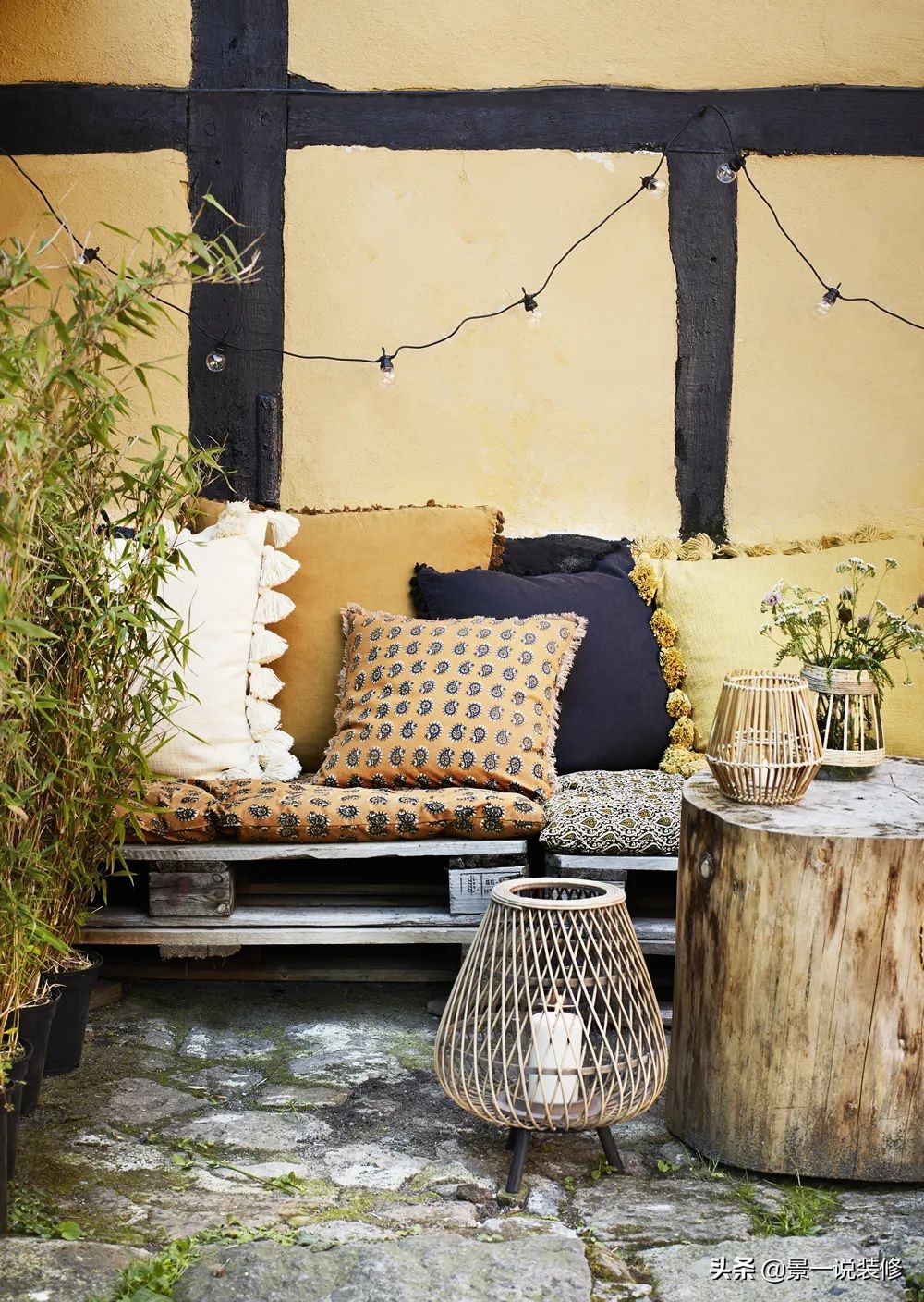 室内植物的摆放设计及养护,室内什么盆栽植物好养护呢