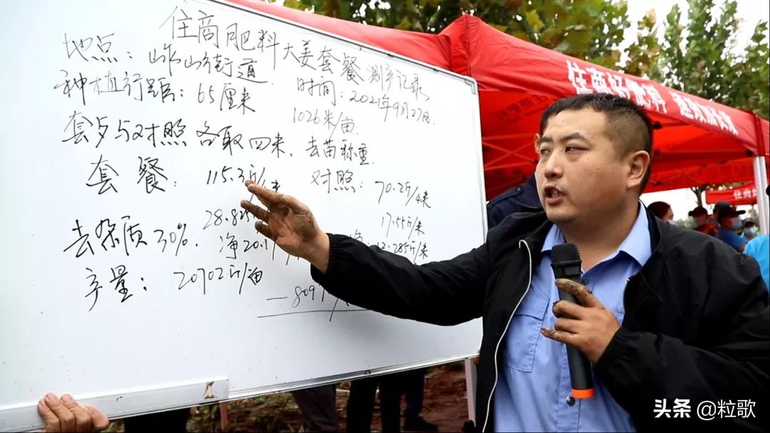 住商肥料“脲醛+”减肥增效中国行：大姜“吃”套餐