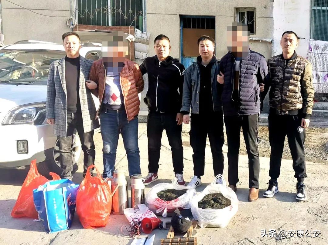 深圳警方破获一宗以模特身份卖茶,警方破获伪装卖茶女诈骗案