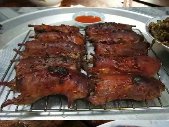 老鼠的天敌那么多为什么难以灭绝,老鼠是人类的天敌吗