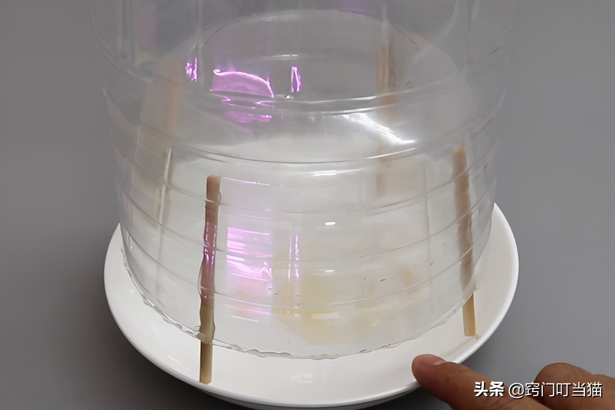 生活小妙招油桶消灭苍蝇,空油桶千万别扔了这样剪一刀