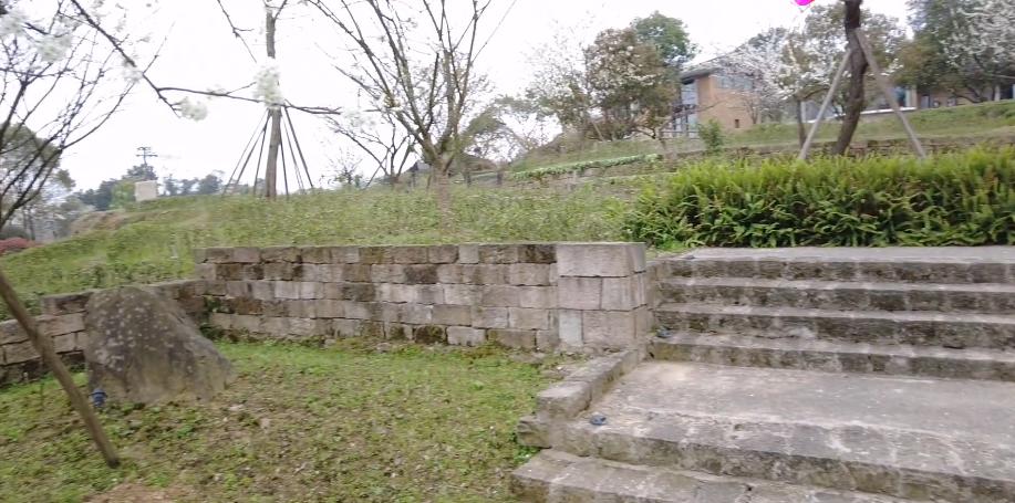 重庆武隆安静悠闲的民宿,重庆巴南龙洲湾的民宿