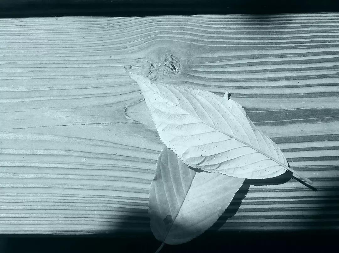 开洋木门素颜系列|选了科技木的家就是这么好看