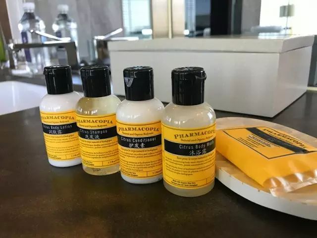 苏州金鸡湖周边楼盘,苏州相城凯悦酒店