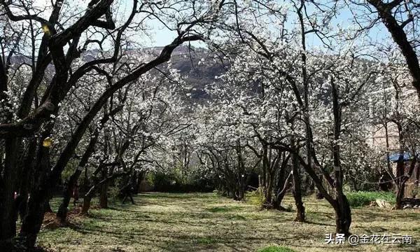 大理什么时候旅游最好,大理一年四季温度是多少