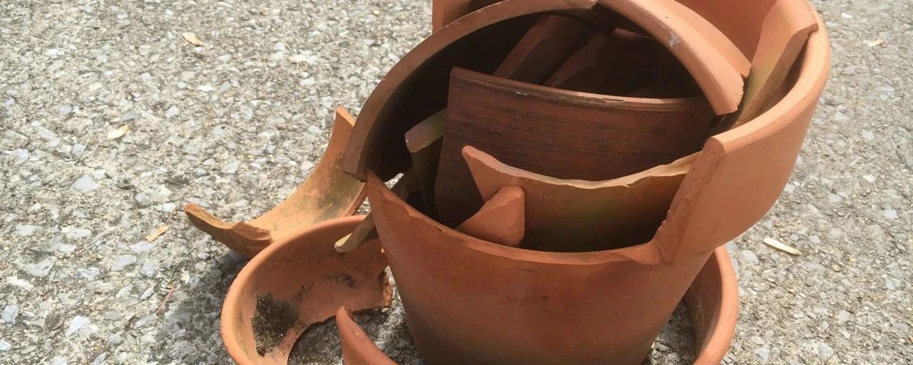 最便宜的土陶盆,透气性最好的陶盆
