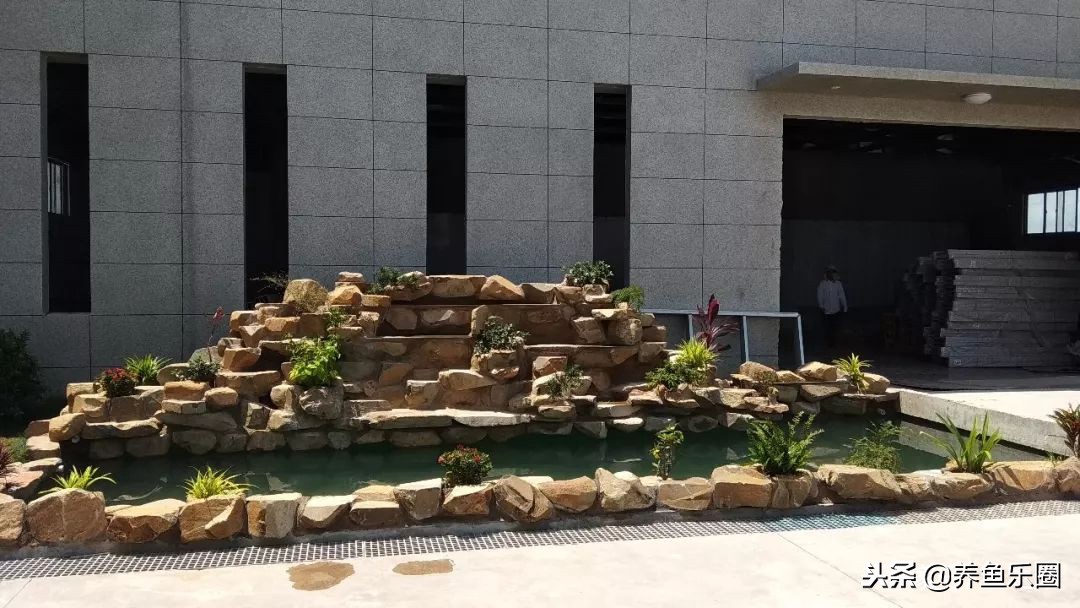 这位土豪家的渔场，光滤材就花了500多万，你确定不要见识一下？