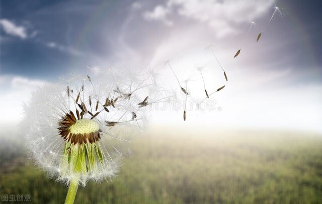 梦想是什么的完整稿,梦想是什么的视频