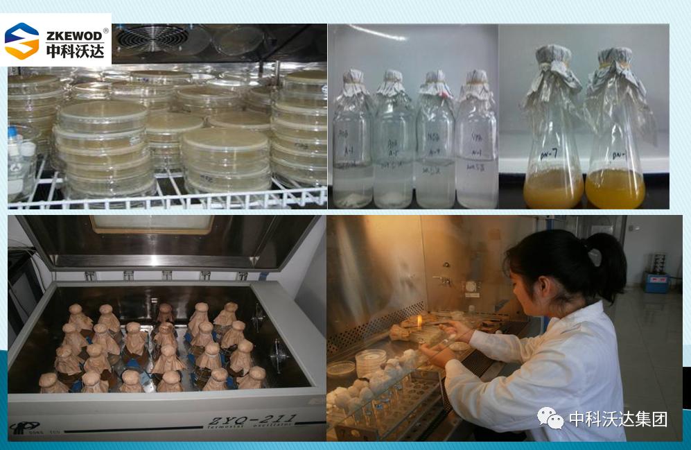 益力健牛羊专用中成药,益立健兽药