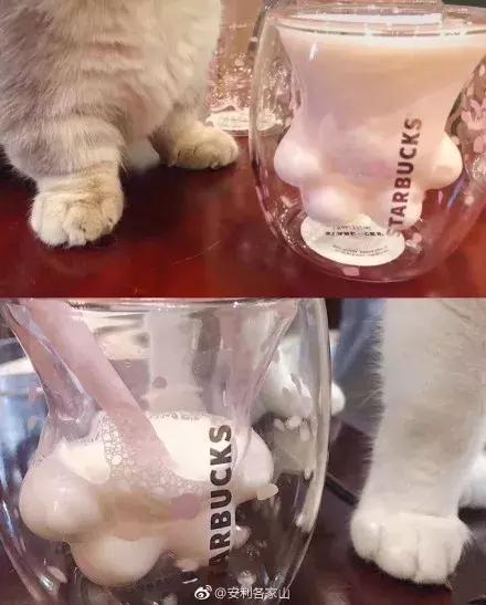 一只猫爪杯，让平静的江湖又掀起了一阵腥风血雨