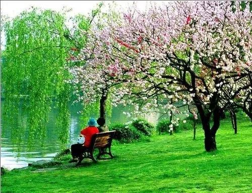 九年级下册历史第三单元知识点,九年级下册语文单元知识人教版