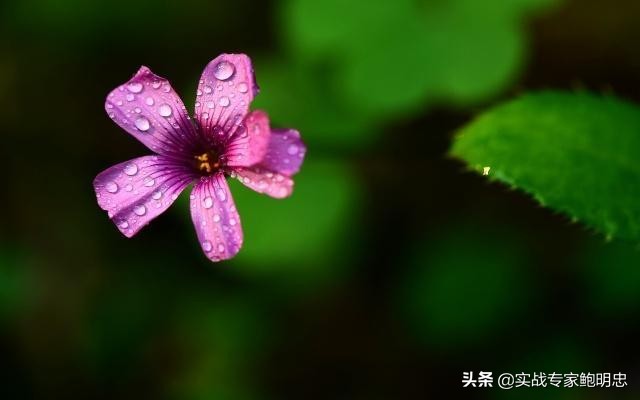 民间俗语三不问四不吃五不摸,三十不碰三事俗语