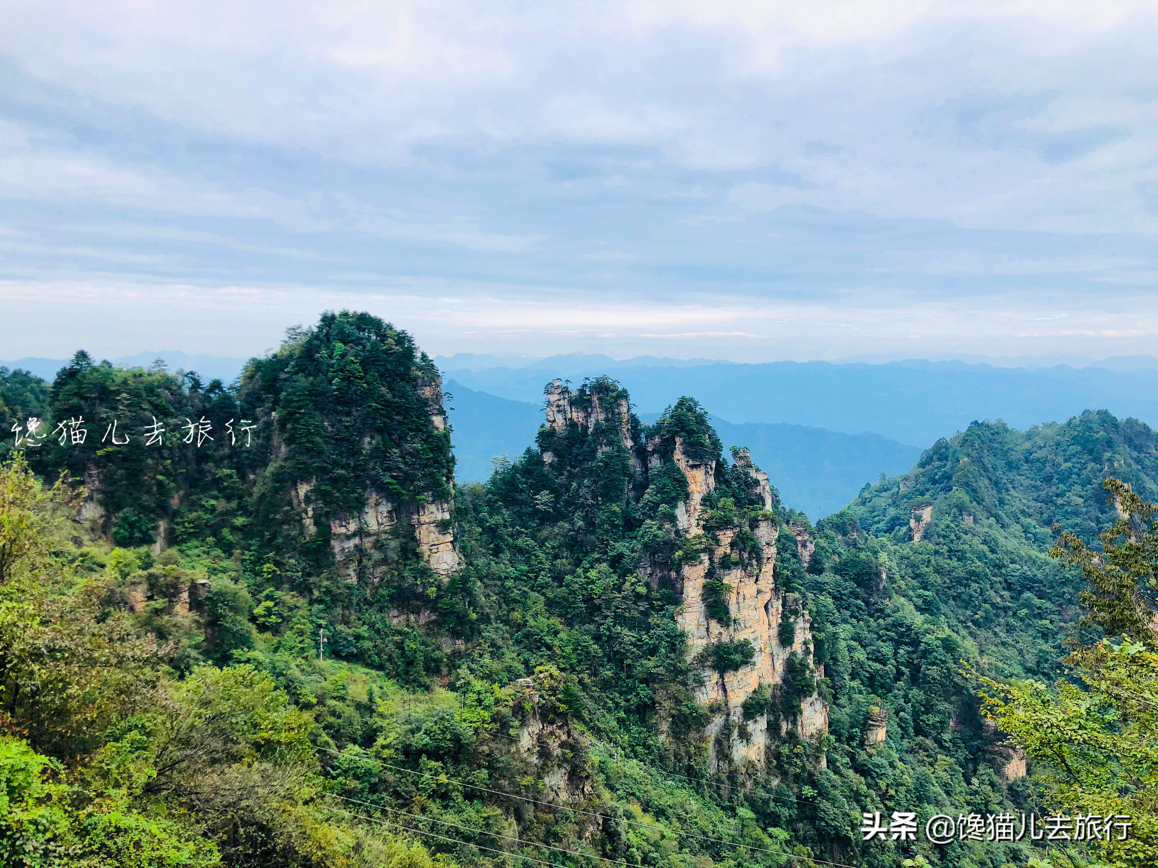 张家界旅游计划行程表模板,暑假旅游张家界攻略路线图简单版