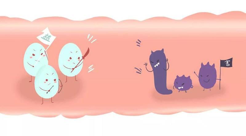 宝宝便秘哪种益生菌比较好用,宝宝便秘什么样的益生菌效果最好