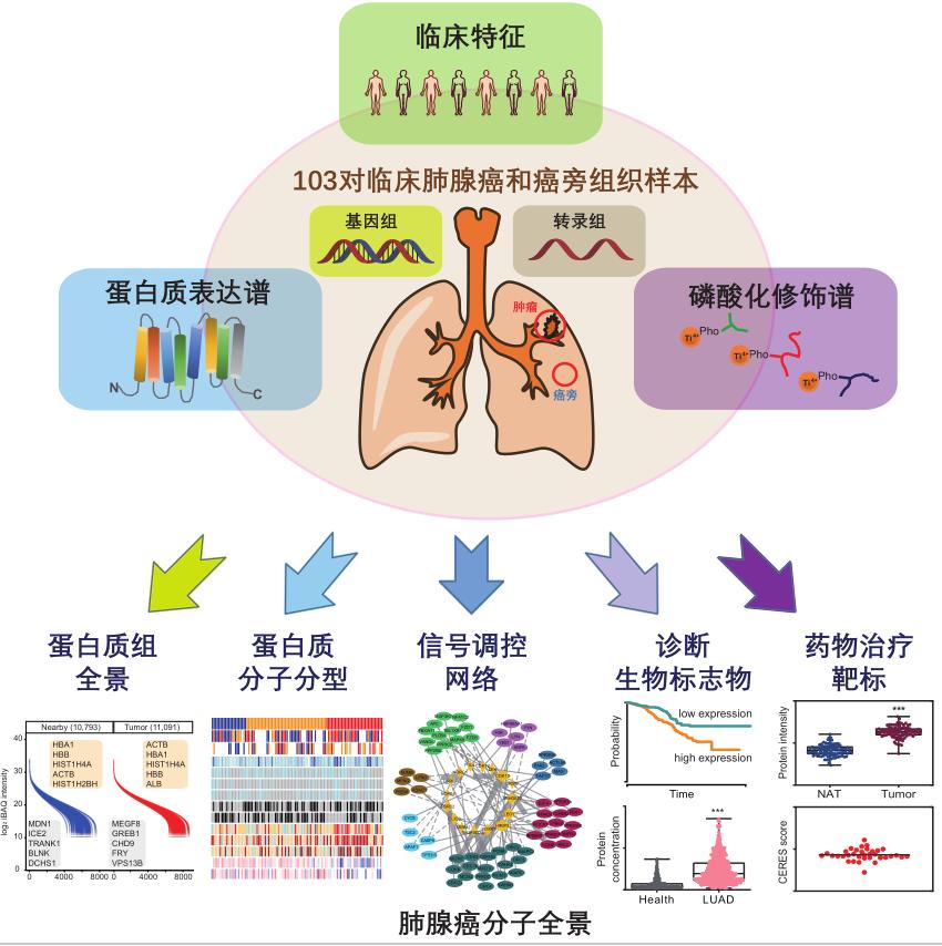 上海科学家最新研究成果,上海科研团队研究成果