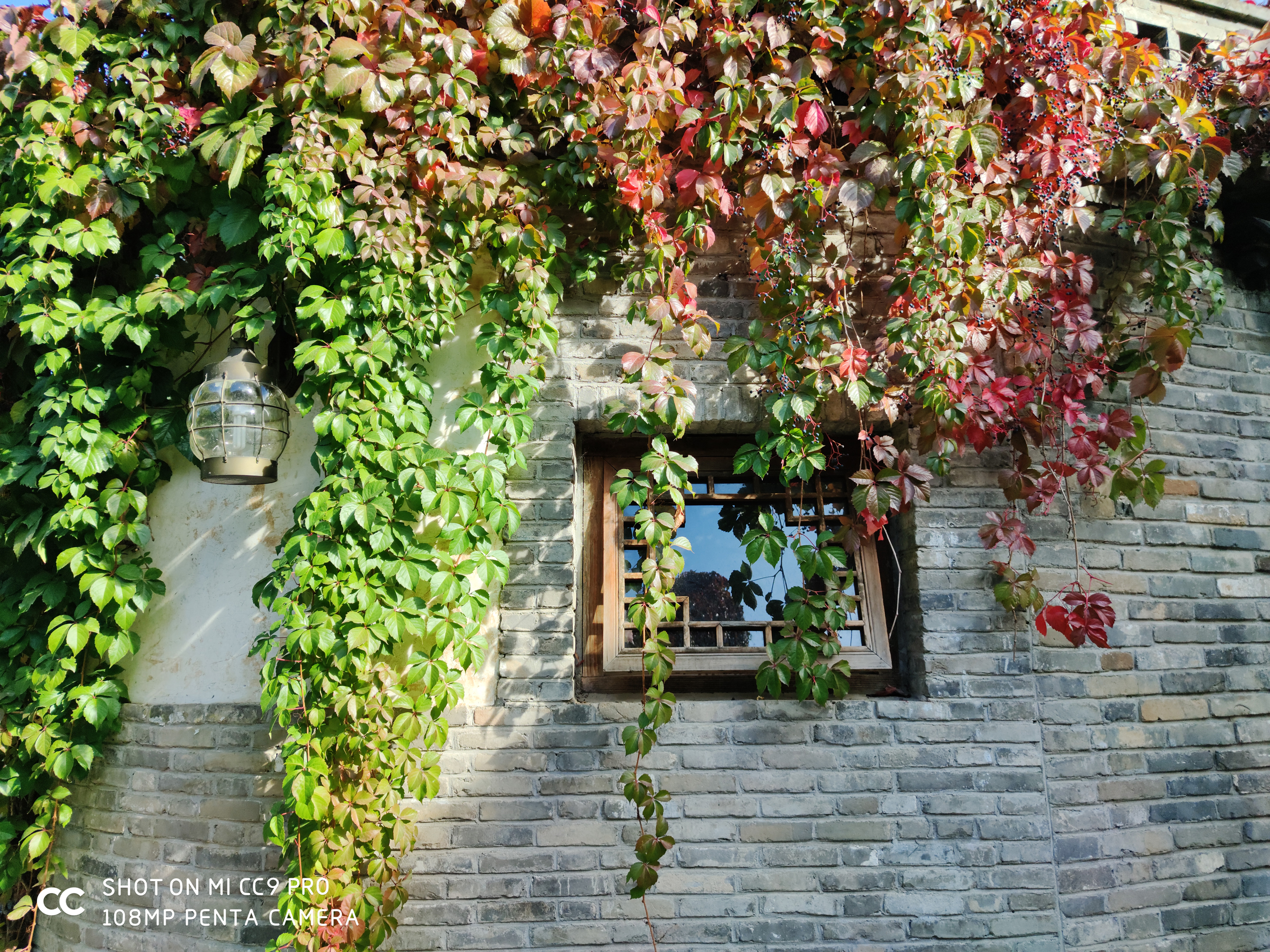 你进来，我给你好好讲讲1亿像素