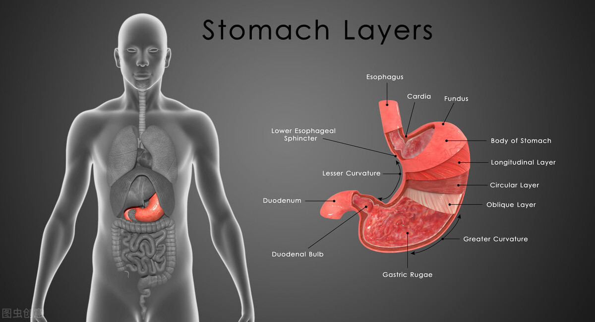 胃癌晚期her2阴性对化疗敏感吗,胃癌her2阴性无扩增是什么意思