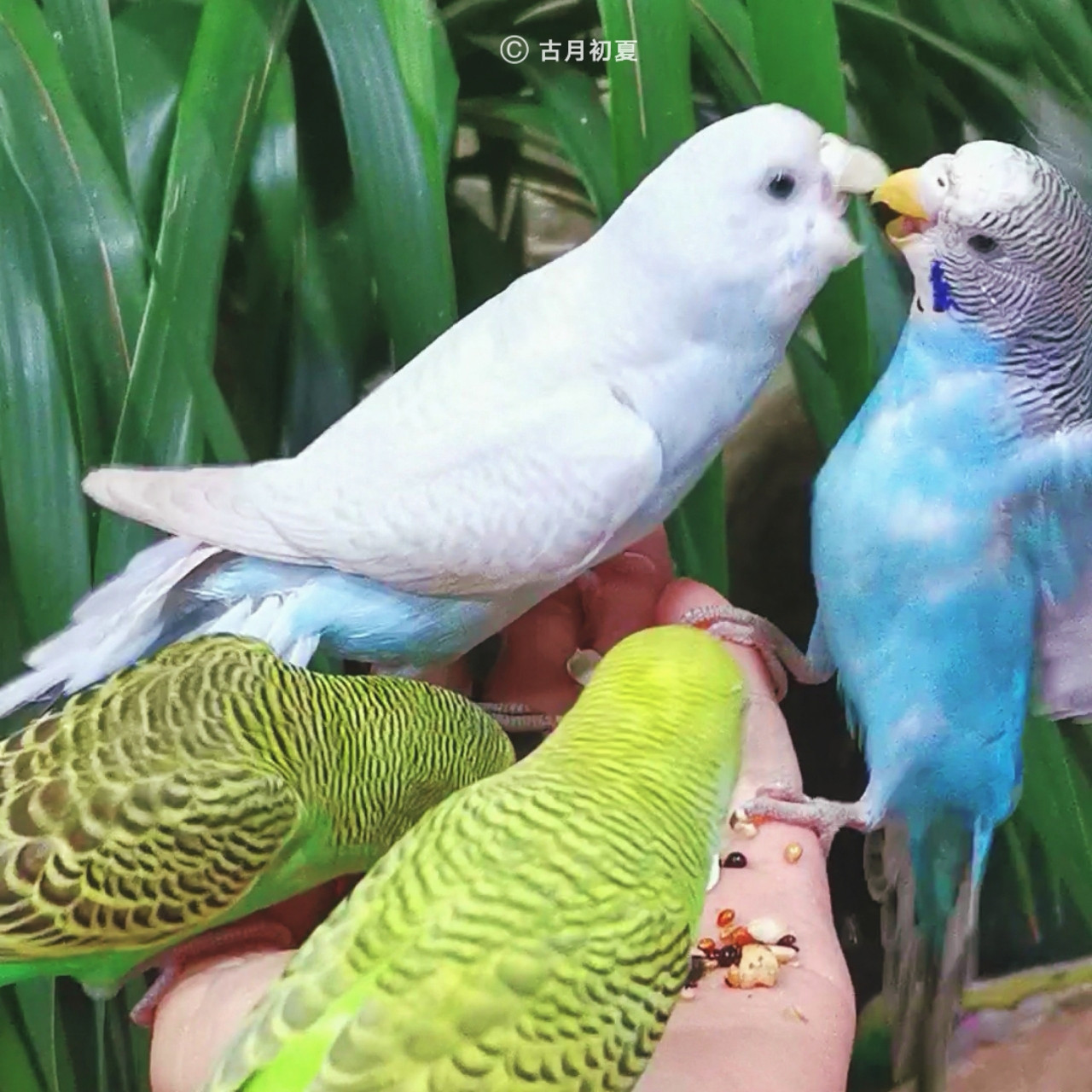 厦门科技馆游玩攻略2-3岁儿童,厦门科技馆每一个馆只能玩一次吗