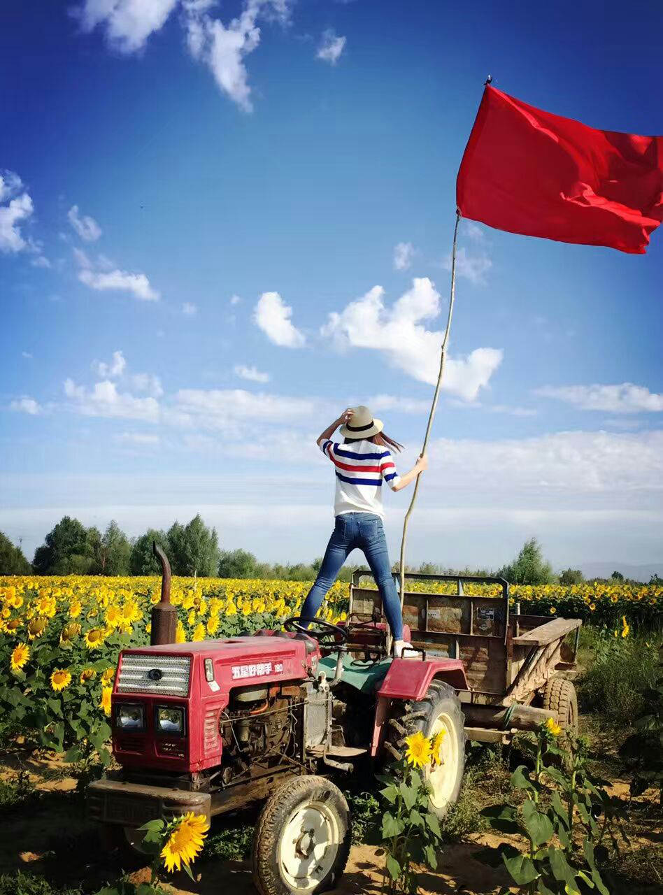 从新疆出发内地旅游省钱攻略,从新疆游全国的旅游路线推荐