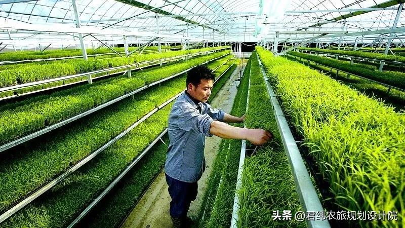 最新农业扶持创业项目推荐,2021农业扶持项目家庭农场合作社